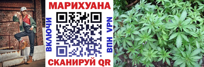 Бошки Шишки план Нерчинск